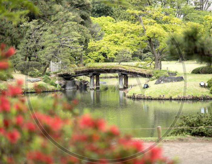 Wooden Japanese Dentsuru Bridge On The Pond Of Rikugien Park In Bunkyo District, North Of Tokyo. The Park Was Created At The Beginning Of The 18Th Century.