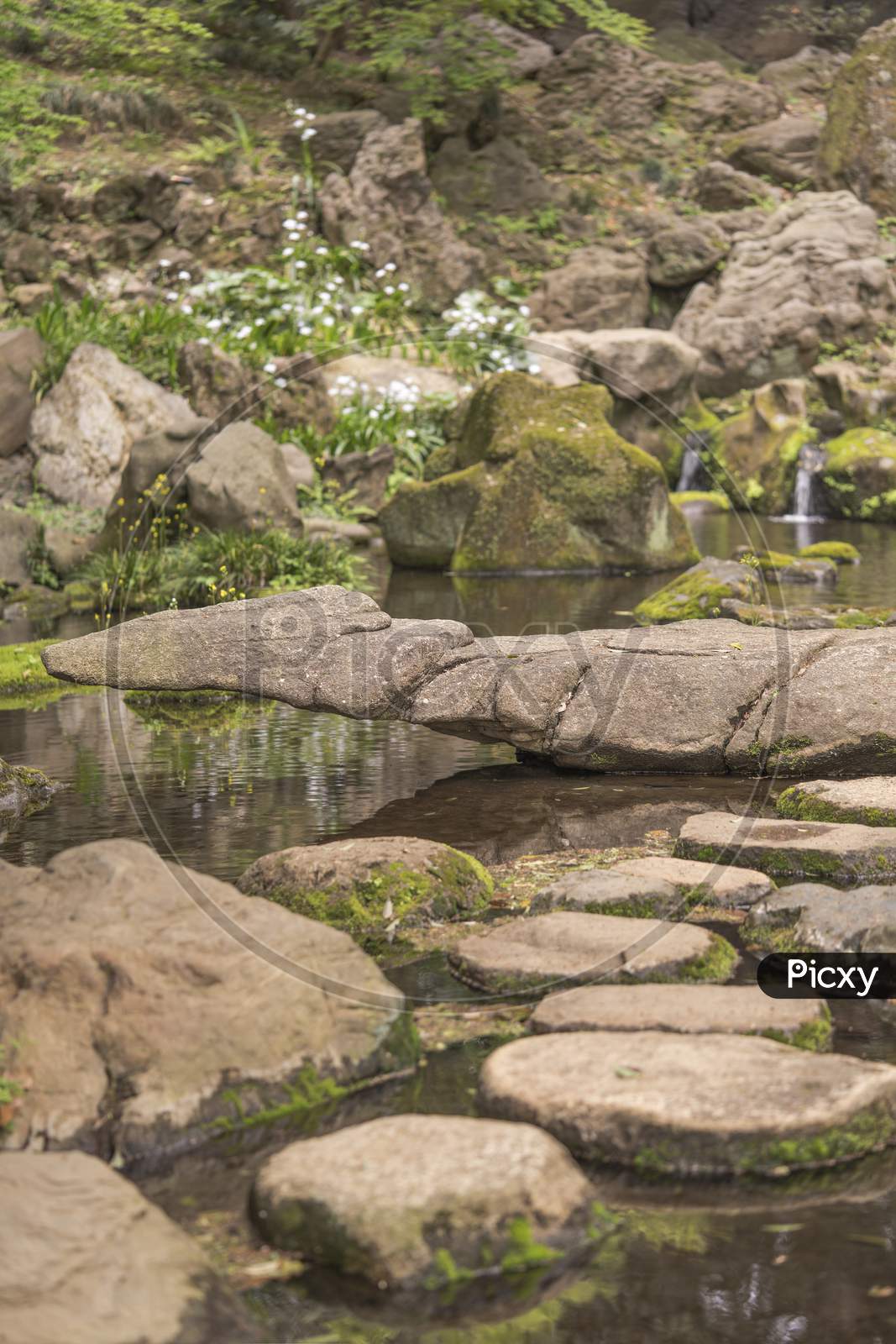 Stone Landscape Covered With Moss On The Pond Of Takimi Japanese Tea House Overlooking The Rikugien Park Garden In Bunkyo District, North Of Tokyo. The Park Was Created At The Beginning Of The 18Th Century.