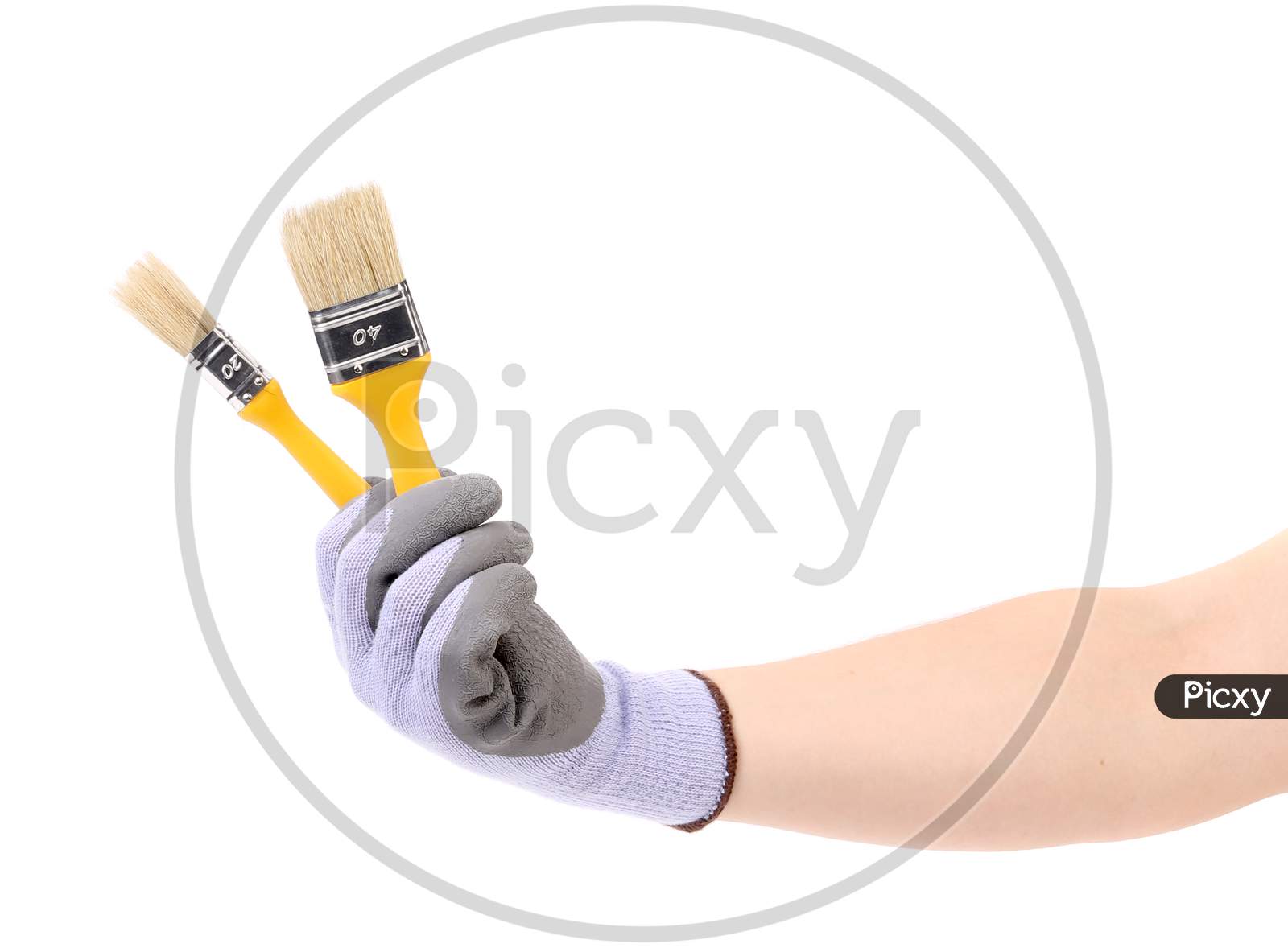 Hand In Gloves Holds Brush. Isolated On A White Background.