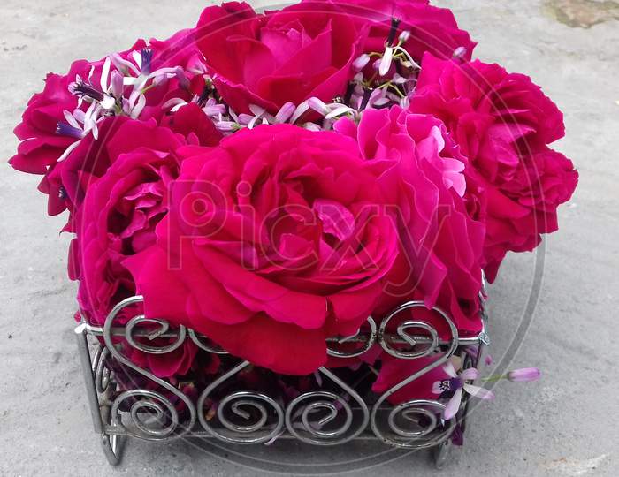 Red rose and white flowers bouquet, in a flower pot