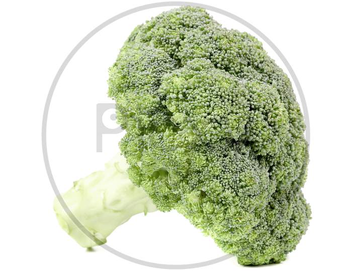 Fresh Broccoli. Isolated On A White Background.