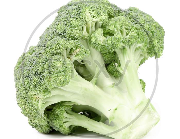 Fresh Broccoli. Isolated On A White Background.