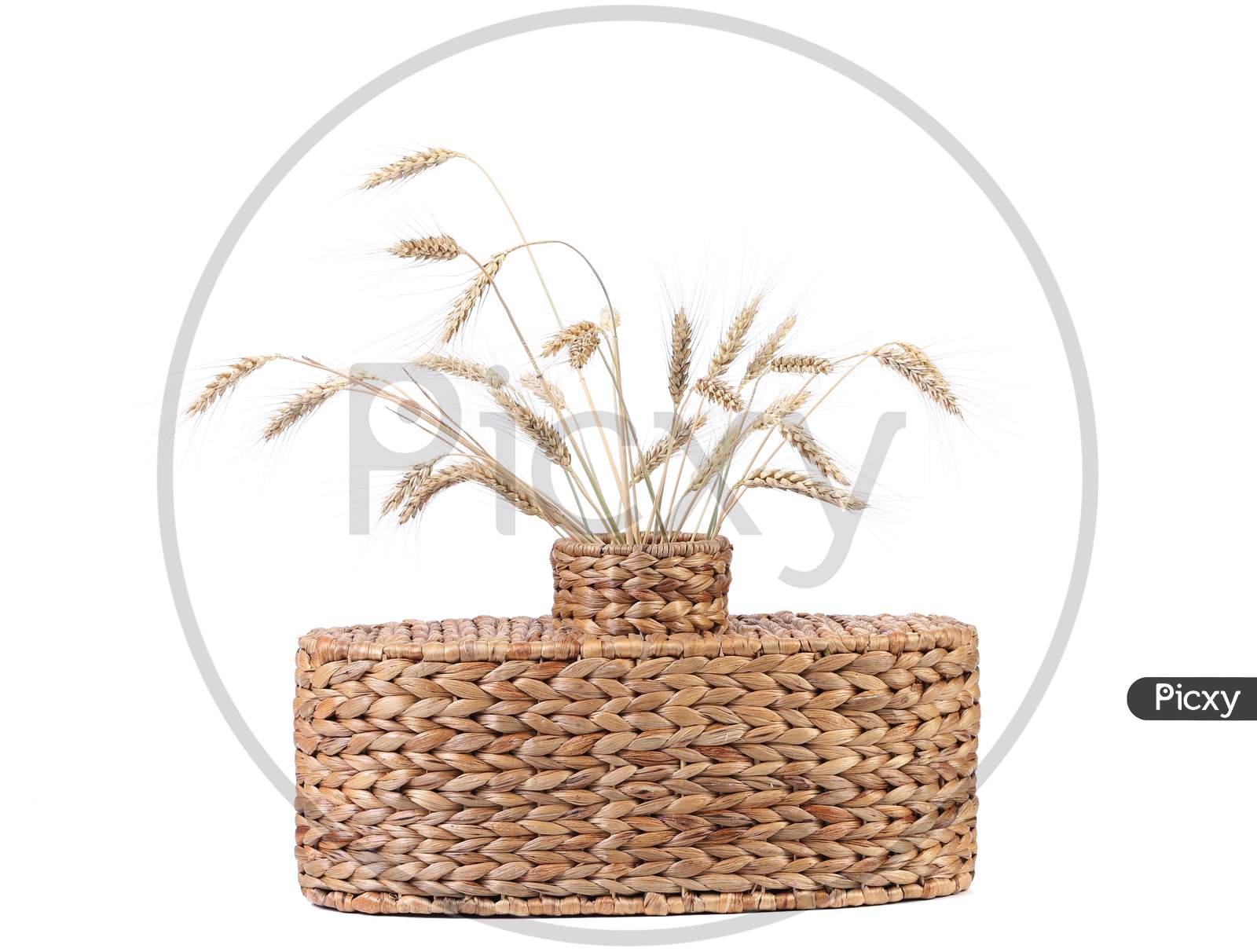 Wicker Vase With Wheat Ears. Isolated On A White Background.