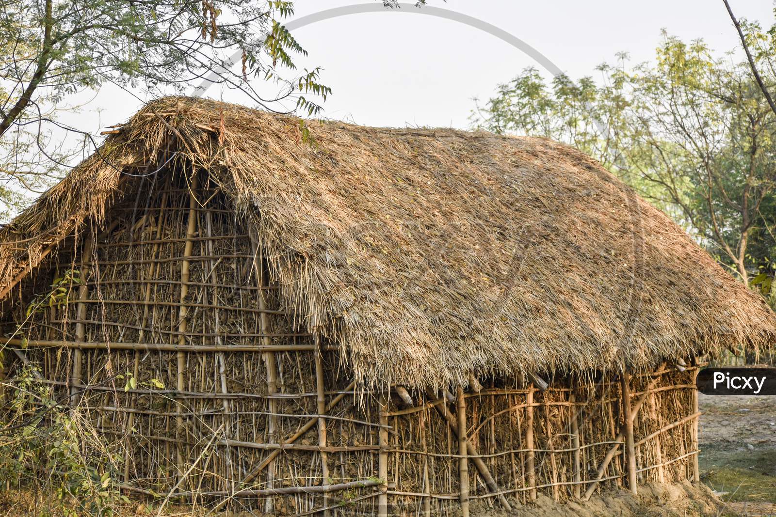 Picture of a hut made of bamboo and clay in a jungle