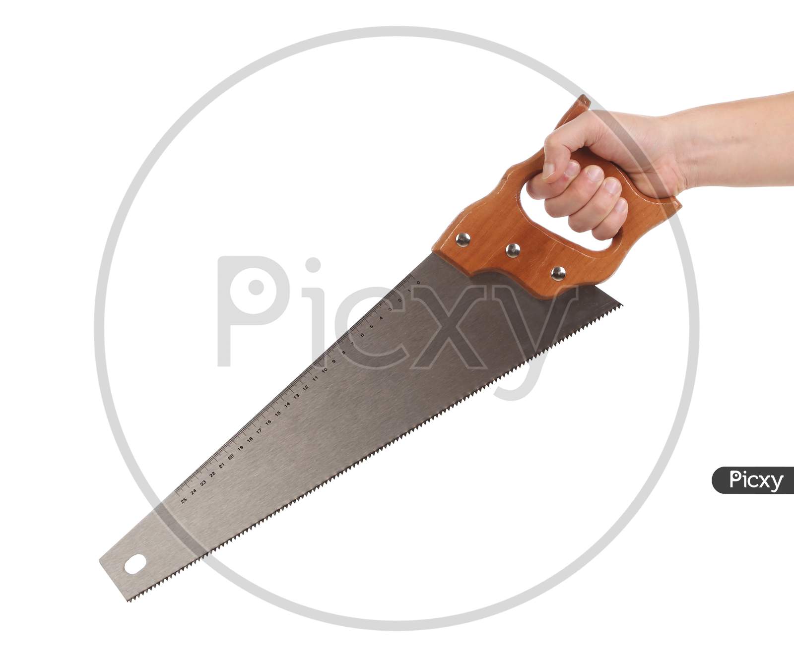 Metal Saw In Hand. Isolated On A White Background.