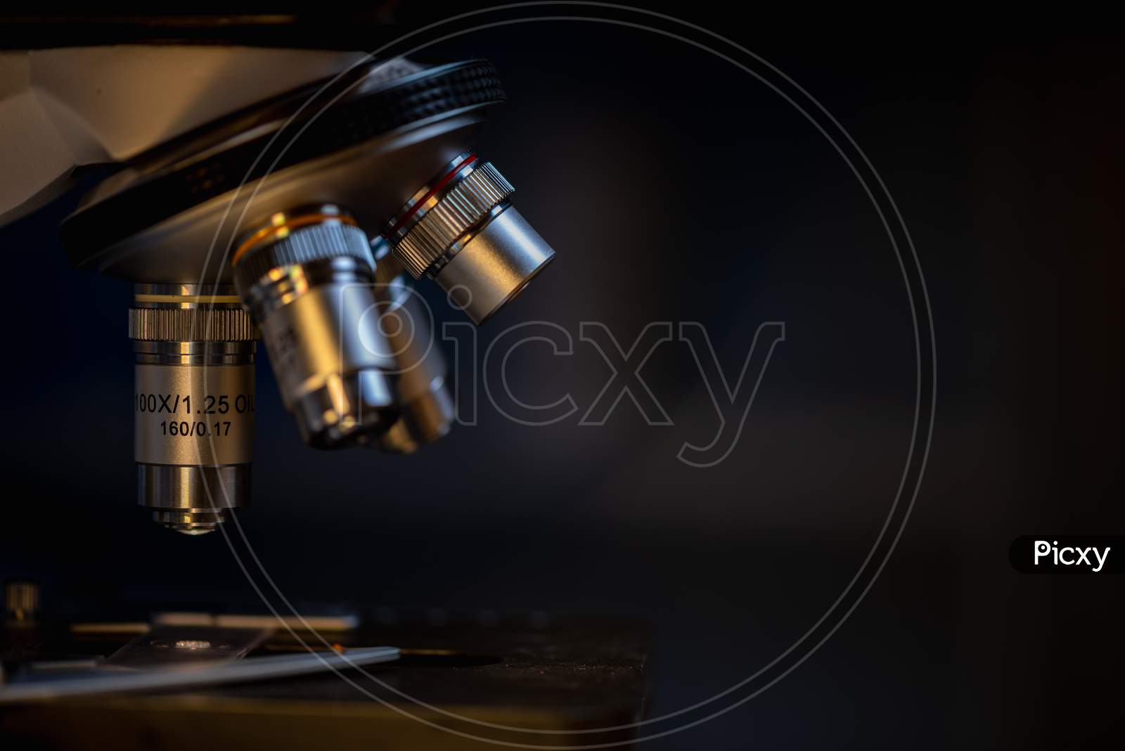 Closeup Of Scientific Microscope Data Analysis In The Laboratory