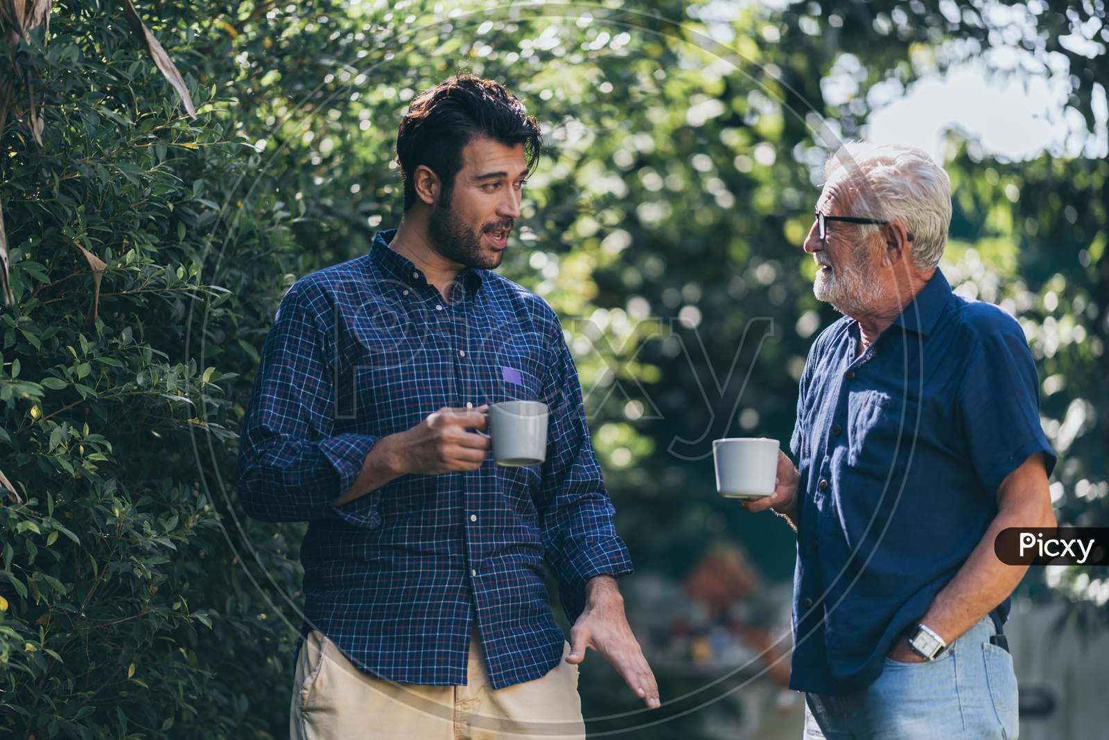 Old Father And Son, Morning Coffee In A Garden