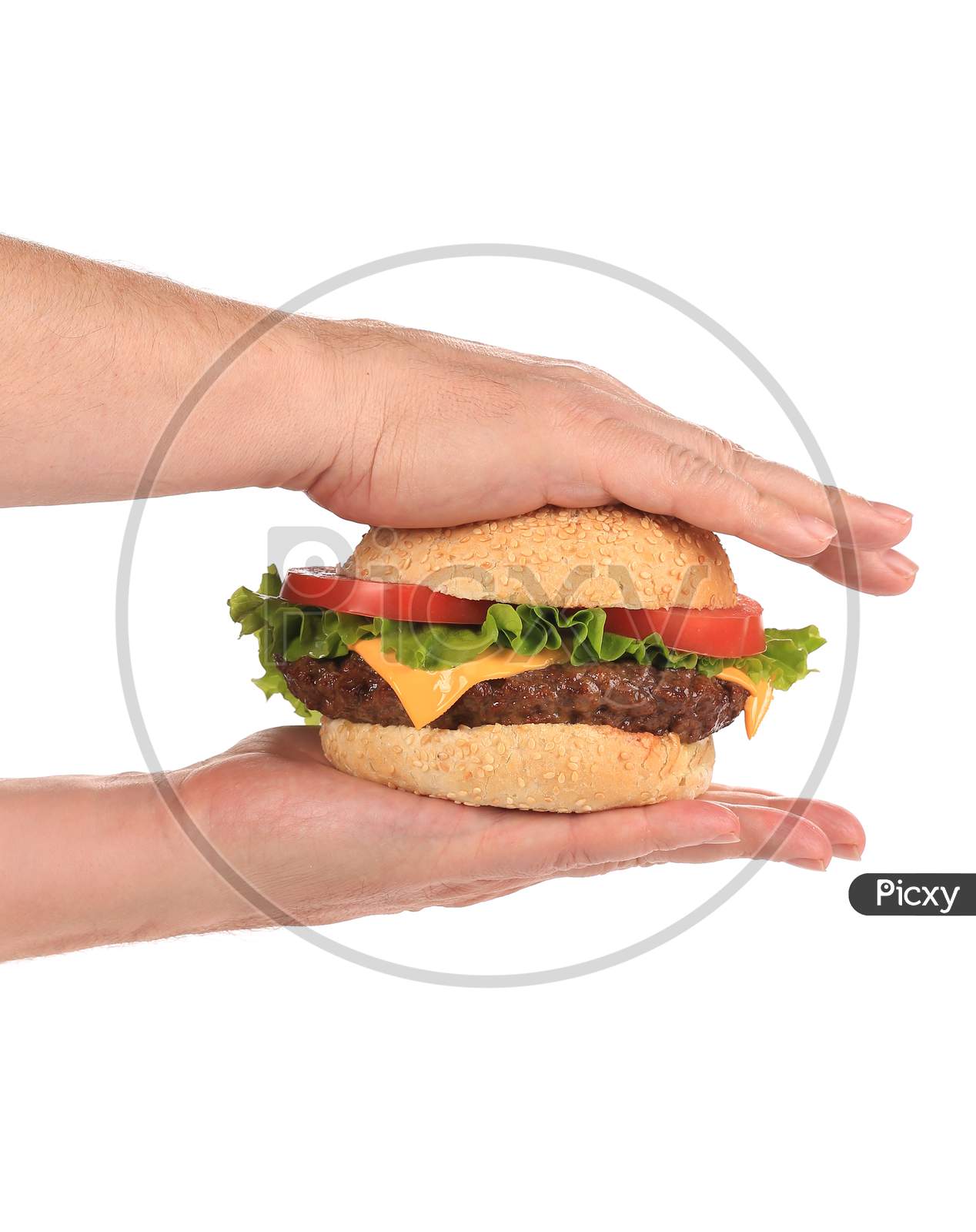 Sandwich In Middle Of Two Hands. Isolated On A White Background.