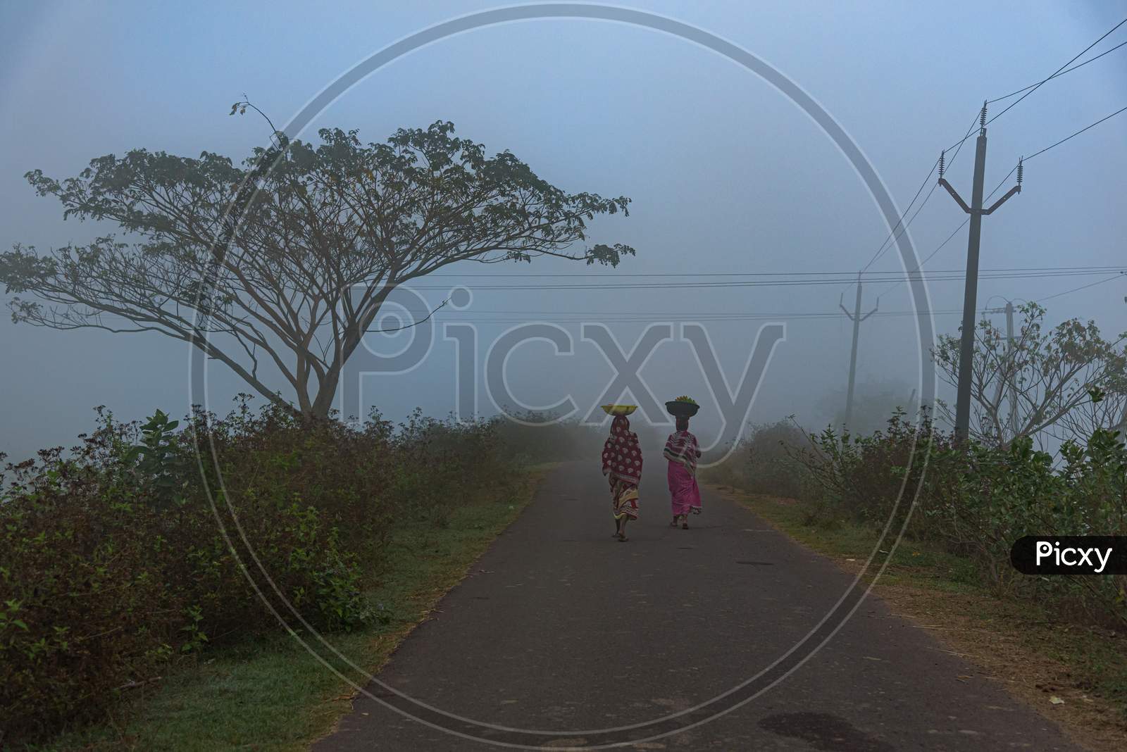 Two Women Walking on a Road in foggy Morning