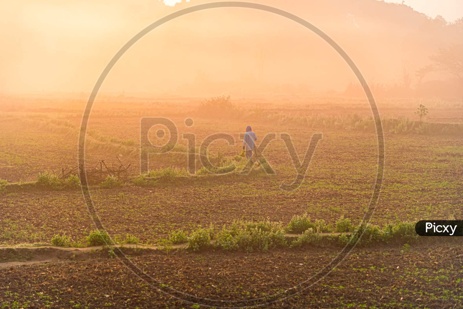 Old Man Walking in a field
