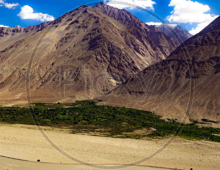 Green Sub Himalayan Vegetation Below High Dynamic Range Image Of Barren Mountain In A Desert With River In Ladakh, Jammu And Kashmir, India