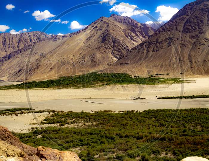 Green Sub Himalayan Vegetation Below High Dynamic Range Image Of Barren Mountain In A Desert With River In Ladakh, Jammu And Kashmir, India