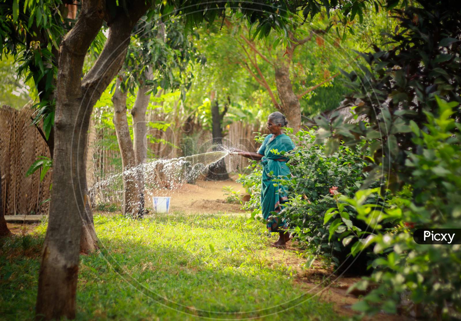 woman watering a garden