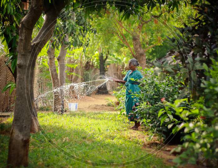 woman watering a garden