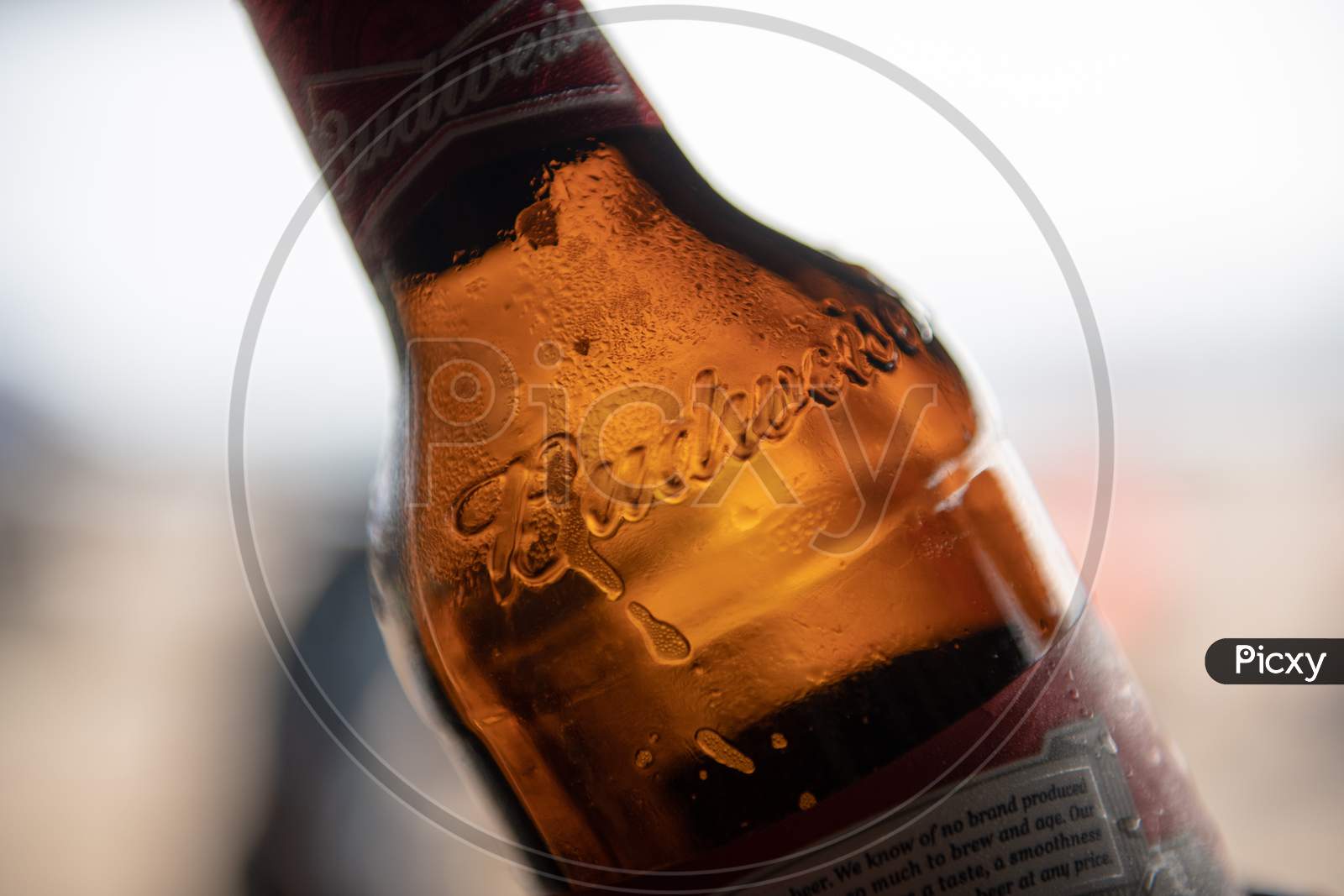 Budweiser Beer Bottle Closeup