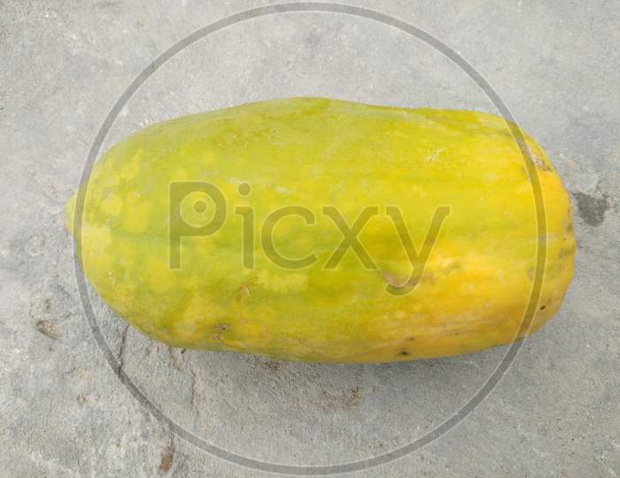 A papaya fruit in spring season