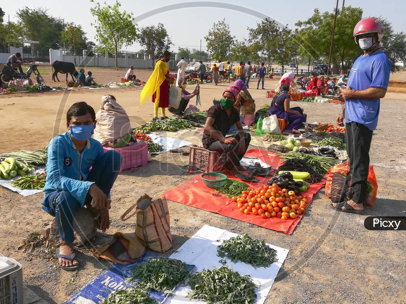 Social distancing maintained by fresh vegetable seller during corona virus spread.