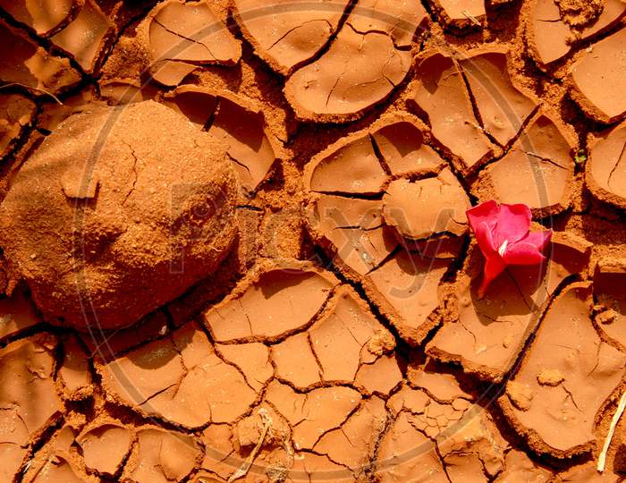 Drought Land With Cracks in Soil