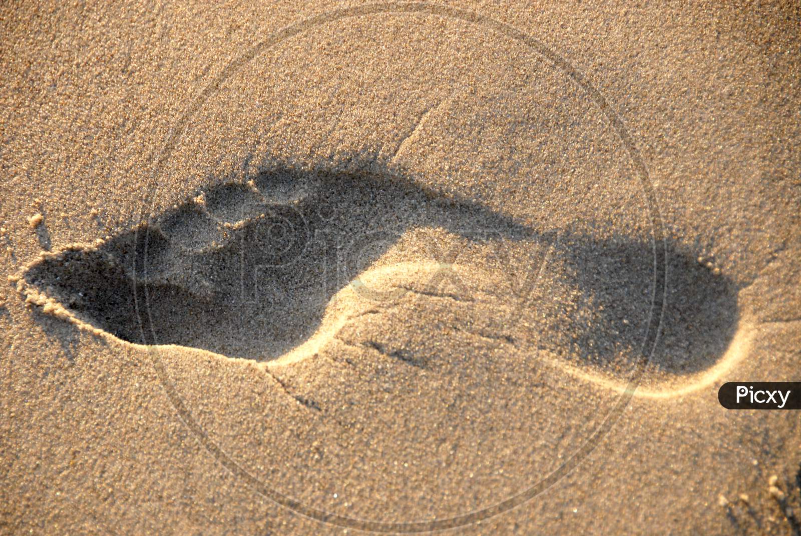 Foot Print on Beach Sand Forming a Background