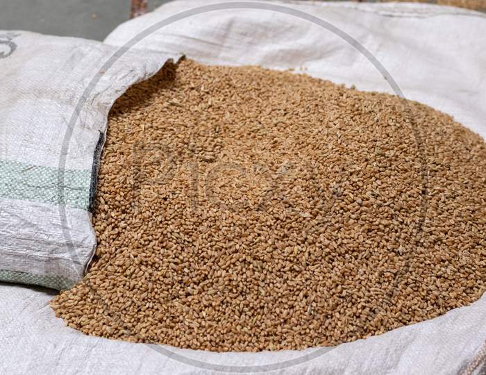wheat grains in a plastic bag