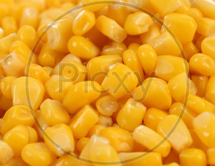 Background Of Canned Sweet Corn. Whole Background.
