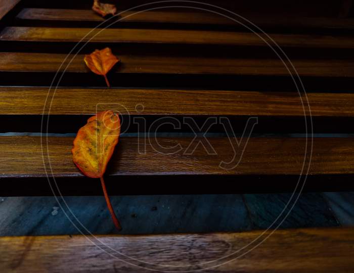 Dried orange leaf on wooden