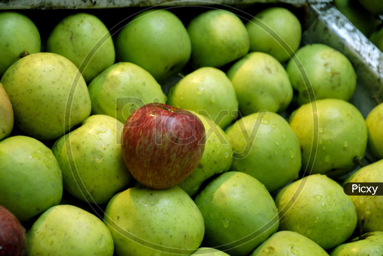 Apples Closeup In an Vendor Stall Forming a Background