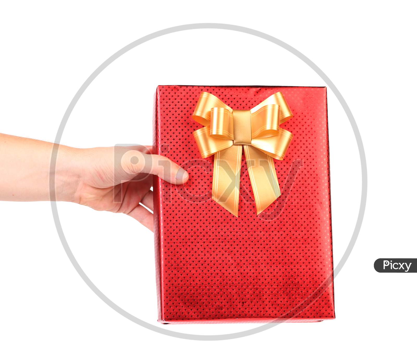 Red Gift Box With Golden Bow In Hand. White Background.