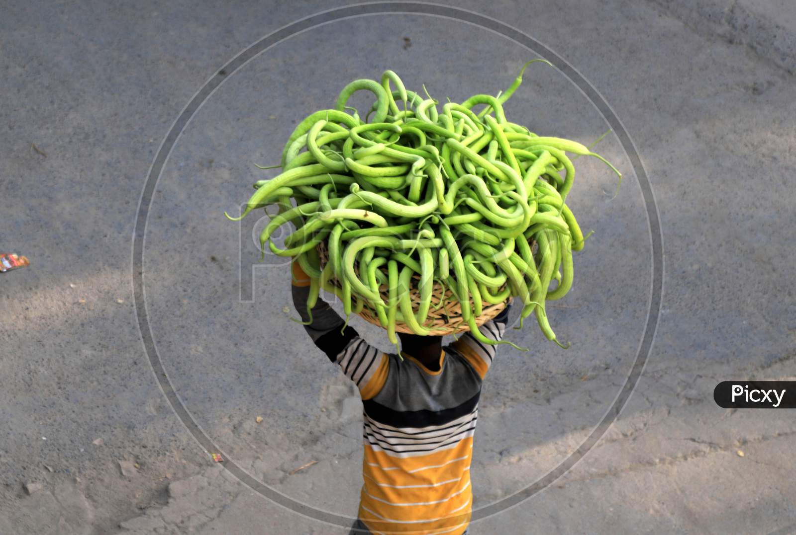 A Farmer Carries Cucumbers Basket From His Field   During Nationwide Lockdown In Wake Of Coronavirus Pandemic In Prayagraj, March 10, 2020