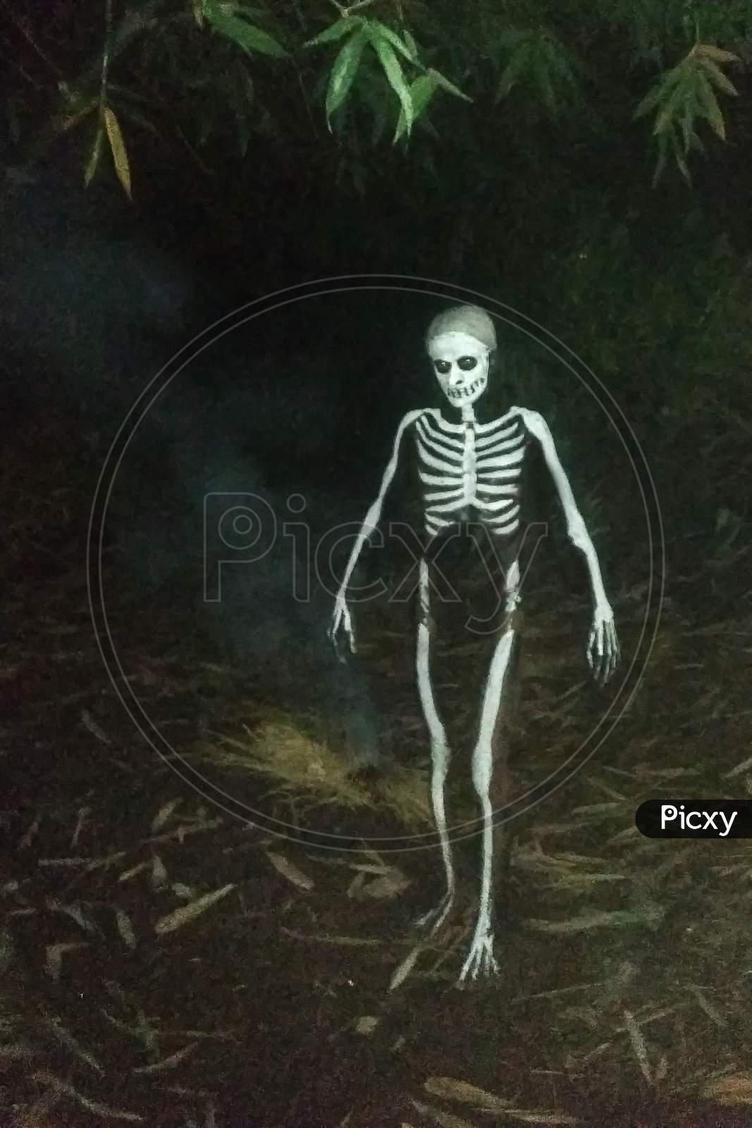 Image of a real ghost in a dark forest