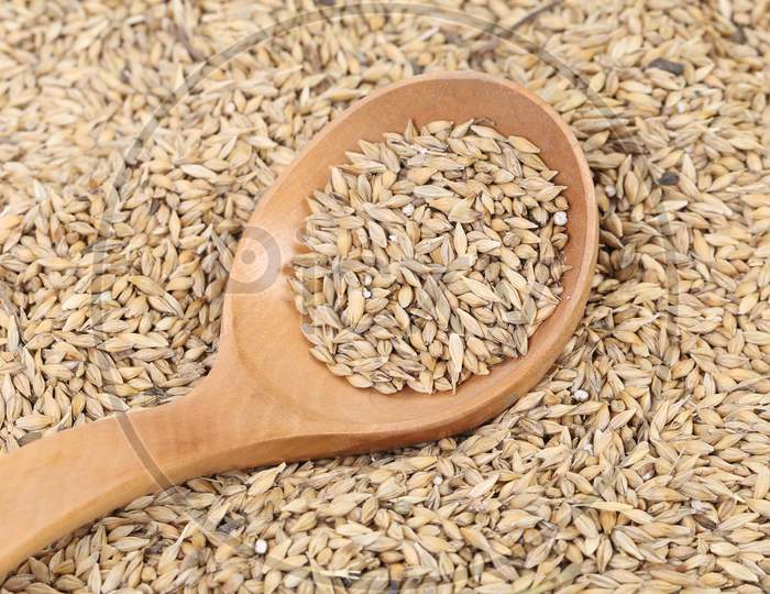 Closeup Of Wheat Grains With Wood Spoon. Whole Background.