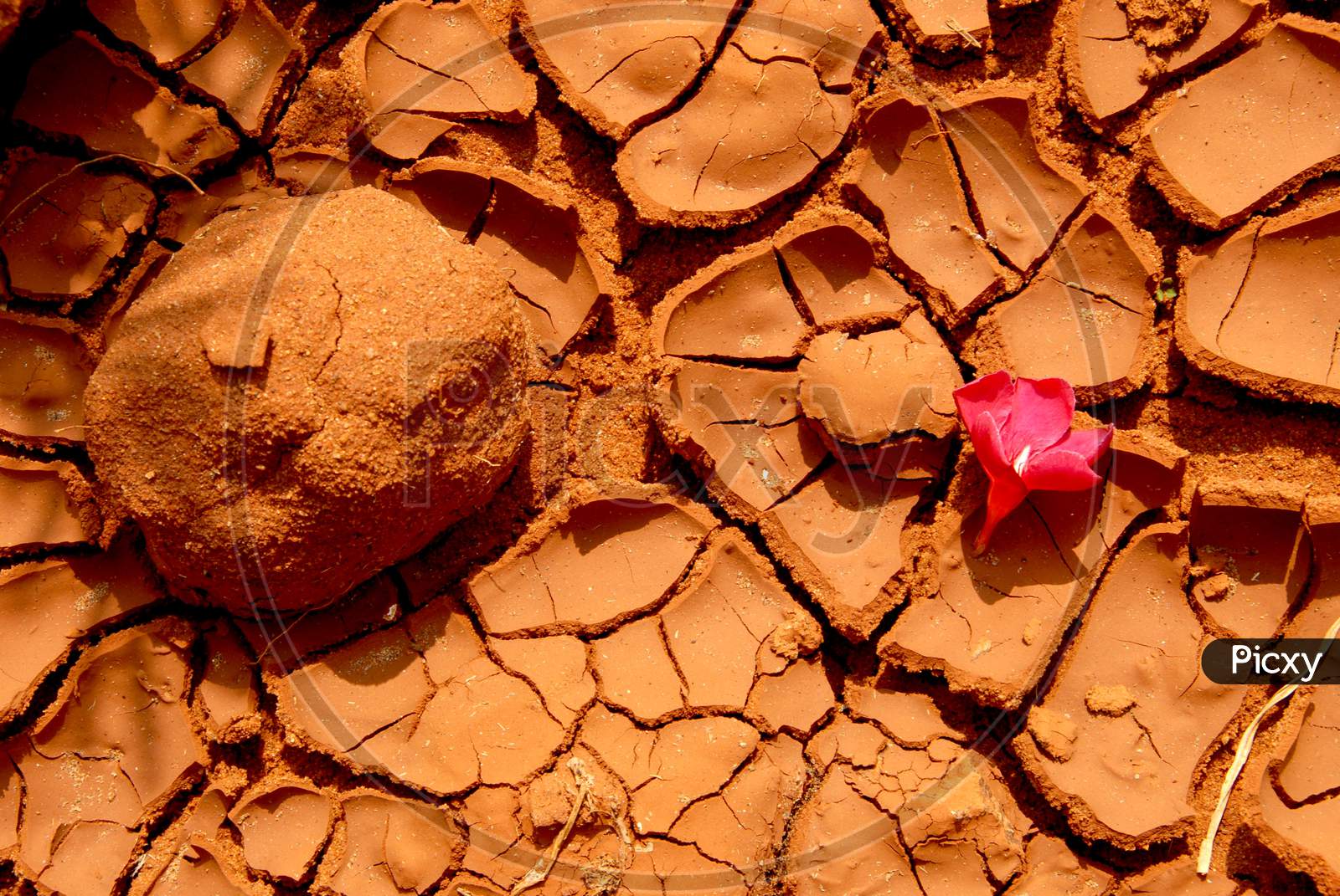 Drought Land With Cracks in Soil