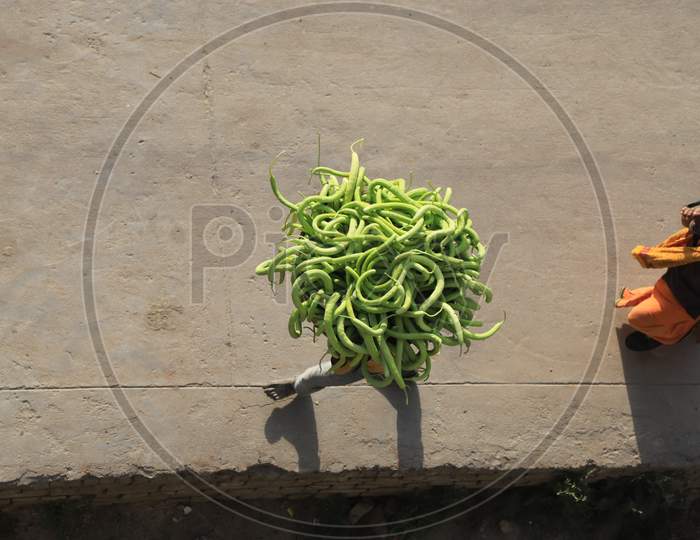 A Farmer Carries Cucumbers Basket From His Field During Nationwide Lockdown In Wake Of Coronavirus Pandemic In Prayagraj, March 10, 2020.