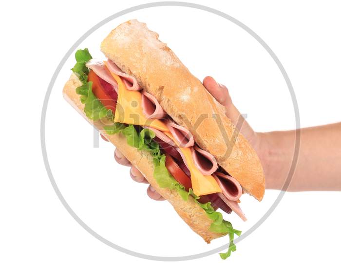 French Baguette Sandwich In Hand. Isolated On A White Background.