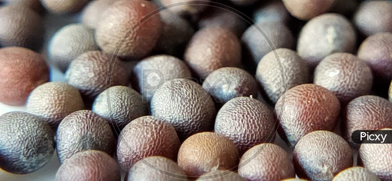 Closeup  of Mustard Seeds Forming a Background