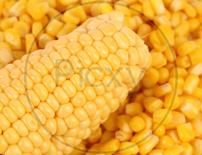 Corncobs And Canned Corns. Close Up. Whole Background.