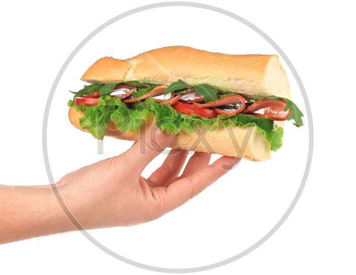 French Baguette Sandwich In Hands. Isolated On A White Background.