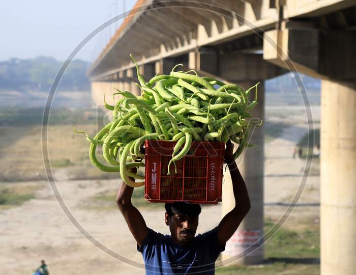 A Farmer Carries Cucumbers Basket From His Field To Sale During Nationwide Lockdown In Wake Of Coronavirus or COVID-19 Pandemic In Prayagraj, March 11, 2020.