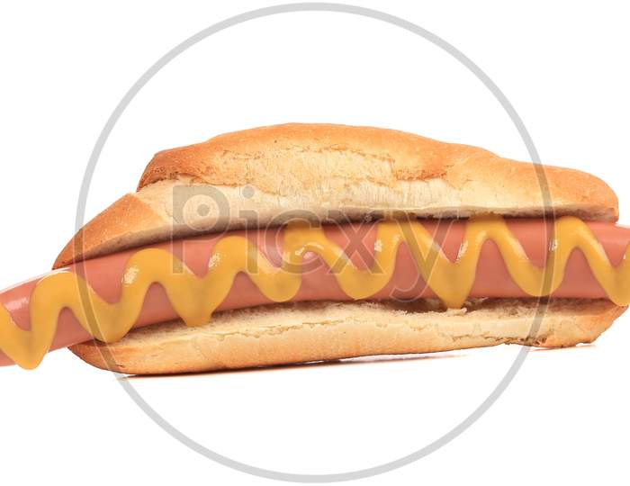 Close Up Of Hotdog With Mustard. Isolated On A White Background.