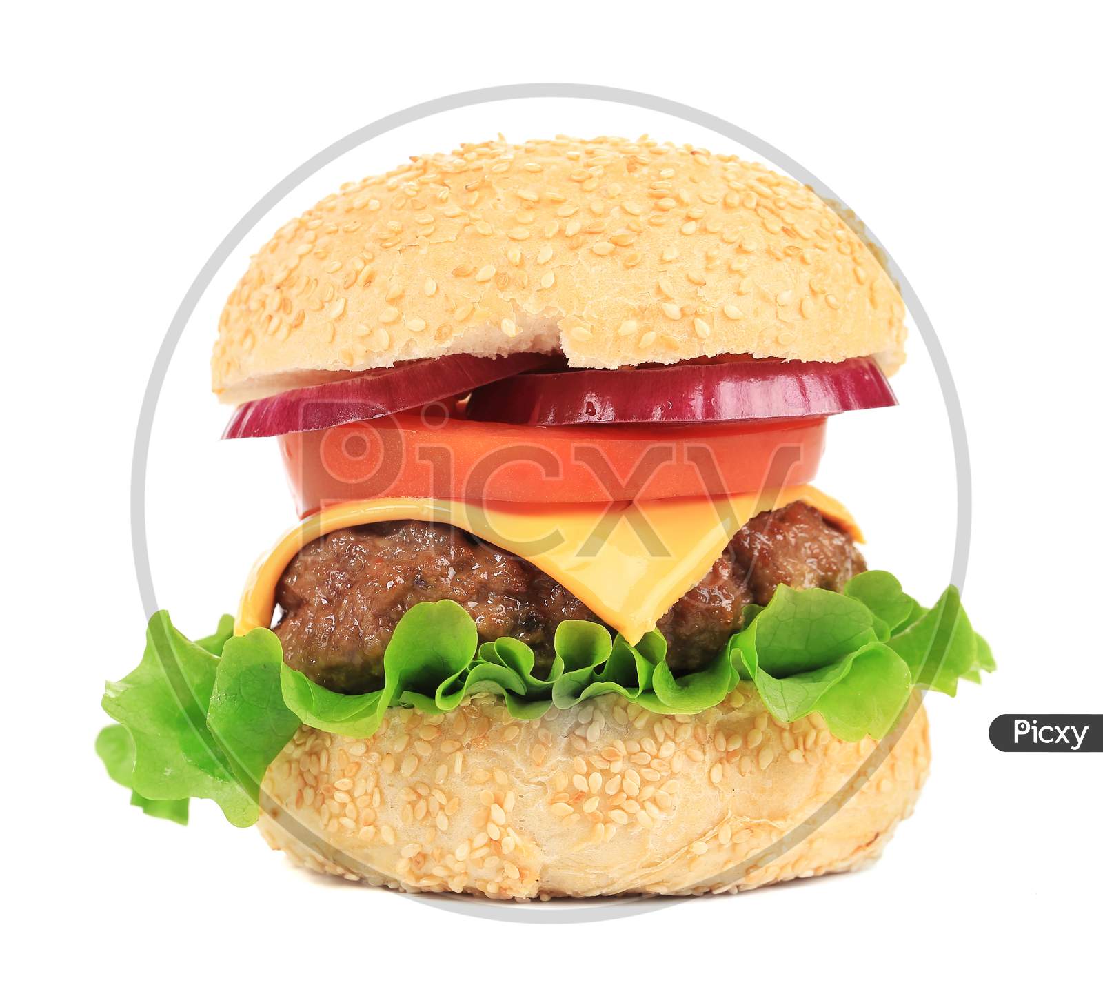 Close Up Of Fresh Hamburger. Isolated On A White Background.