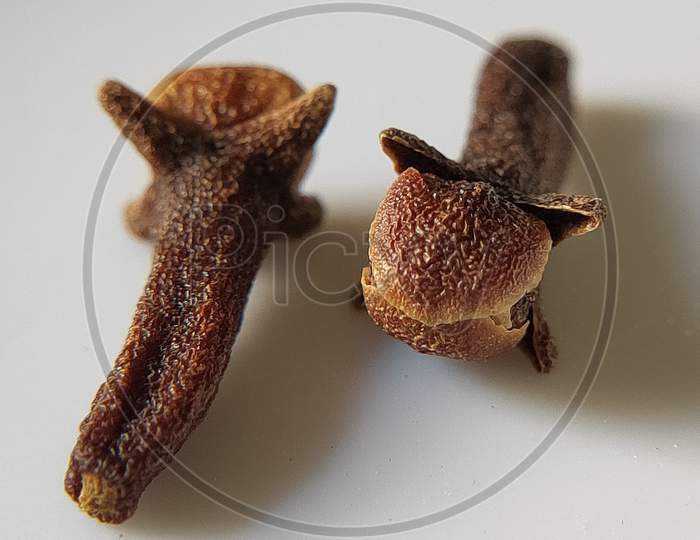 Cloves on white background. Indian spices on plain background. Close up of cloves.