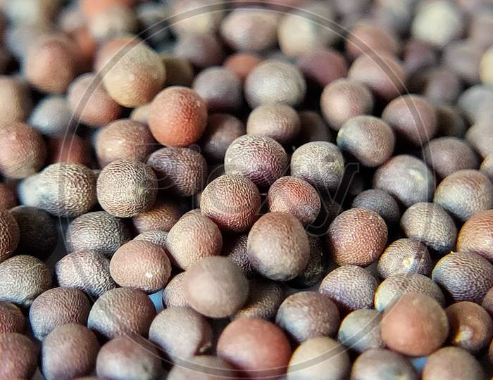 Closeup  of Mustard Seeds Forming a Background