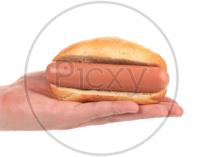 Hand Hold Hotdog. Isolated On A White Background.