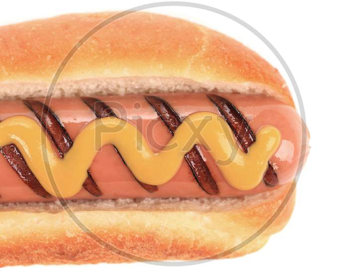 Close Up Of Hotdog With Mustard. Whole Background.