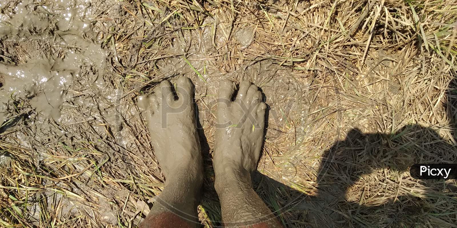 Feet of a farmer covered with mud 