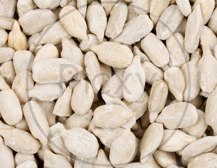 Close Up Of Sunflower Seeds. Whole Background.