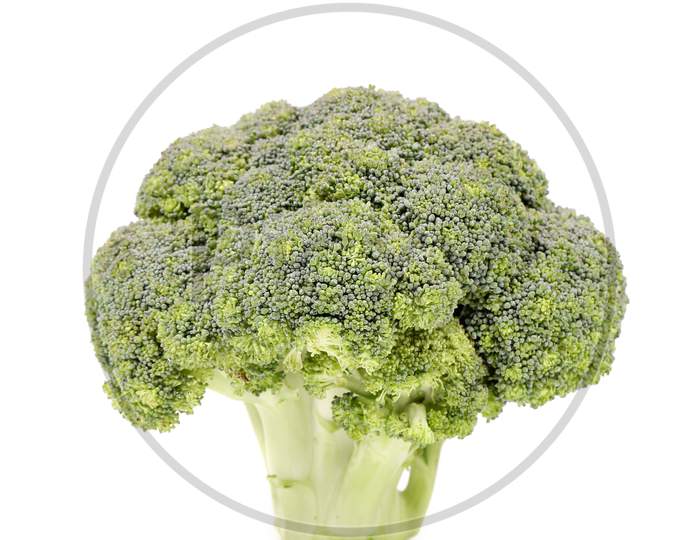 Fresh Broccoli Vegetable. Isolated On A White Background.