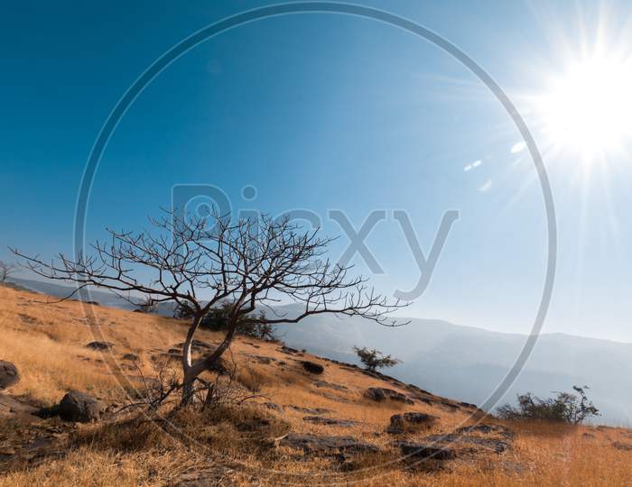 Landscape With Dry Grass Mountain And Bright Sun rays