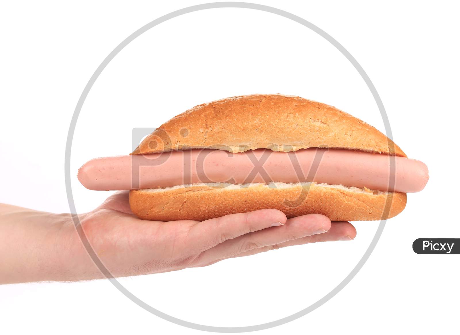 Hand Holds Big Hotdog. Isolated On A White Background.