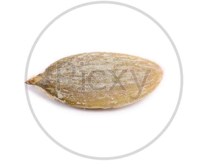 Close Up Of Pumpkin Seed. Isolated On A White Background.